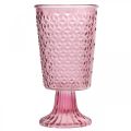 Floristik24 Vela taza, taza de vidrio, linterna, decoración de vidrio Ø10cm H18.5cm