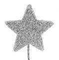 Floristik24 Glitter star silver 5cm en el cable L22cm 48pcs