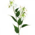 Floristik24 Lirio artificial, decoración floral, planta artificial, flor de seda blanca L82cm 3pcs