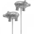 Floristik24 Cerdo de la suerte Nochevieja amuleto de la suerte en un palo plata 3cm 6pcs
