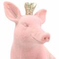 Floristik24 Conjunto de figuras decorativas cerdo de la suerte con corona dorada 12 × 7 × 13cm / 9.2 × 5.5 × 10cm 2pcs