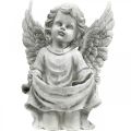 Floristik24 Ángel de la tumba Figura de ángel Baño de pájaros Decoración de tumba H26cm