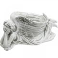 Floristik24 Ángel de tumba con cuenco para plantas Ángel de baño para pájaros tumbado 39×18×18cm