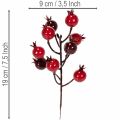 Rama artificial de granada con tallos ramificados para decoración de jarrones, 19 cm, 4 unidades. | Floristik24.es
