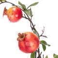 Rama artificial de granada como adorno frutal para mesa, 68 cm. | Floristik24.es