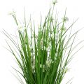 Floristik24 Ramo de hierba con flores blancas 70cm