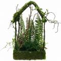 Floristik24 Moss deco grass house con musgo artificial y helecho