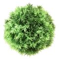Floristik24 Bola de hierba bola decorativa plantas artificiales verde Ø15cm 1ud