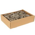 Musgo decorativo, musgo gris para manualidades, 500 g | Floristik24.es