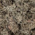 Musgo decorativo, musgo gris para manualidades, 500 g | Floristik24.es