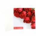 Floristik24 Bono tarjeta rosas rojas + sobre 1ud
