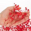 Ramo de gypsophila seca (75