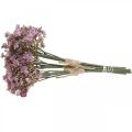 Floristik24 Gypsophila violeta artificial decoración de otoño 29,5cm 18uds