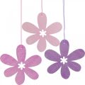 Floristik24 Flor decorativa colgante de madera flor de madera violeta/rosa/rosa Ø12cm 12pcs