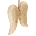 Floristik24 Colgante de madera con forma de ala de ángel para decoración colgante, 12 cm.