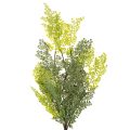 Rama de helecho artificial, delicada, para jarrón, 80 cm. | Floristik24.es