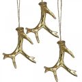 Floristik24 Colgante navideño decoración astas decoraciones para árboles oro 7,5 cm 6 piezas