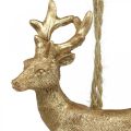Floristik24 Colgante navideño reno deco ciervo oro 9.5cm 4pcs