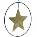 Floristik24 Colgante estrella decoración navideña dorado negro 12,5cm 3ud