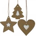 Floristik24 Árbol de navidad decoración estrella abeto corazón papel 7cm 36p