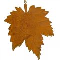Floristik24 Hojas decorativas de otoño metal aspecto óxido hoja de arce 6 piezas