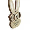 Floristik24 Colgante de madera conejo con gafas marrón zanahoria beige 4×7.5cm 9pcs