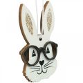 Floristik24 Colgante de madera conejo con gafas purpurina zanahoria 4×7.5cm 9pcs