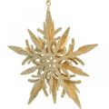 Floristik24 Copo de nieve, decoración del árbol de Navidad, decoración de ventanas Navidad dorada 12 cm 4 piezas