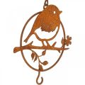 Floristik24 Pájaro de metal para colgar, comedero, pájaro con pátina de anzuelo 11,5×13cm