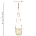 Maceta de cristal colgante, maceta decorativa de cristal, estilo retro, verde/marrón, 14,5 cm, 2 piezas | Floristik24.es