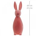 Floristik24 Deco Bunny Deco Conejito de Pascua Flocado Naranja Albaricoque H69cm