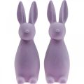 Floristik24 Deco Bunny Deco Conejito de Pascua Flocado Lila Púrpura H29.5cm 2pcs