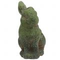 Floristik24 Figurita de jardín conejo mossed 20cm x 13cm H25cm