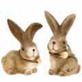 Floristik24 Figuras decorativas conejos con pluma y madera perla marrón surtidos 7cm x 4.9cm H 10cm 2pcs