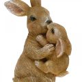 Floristik24 Figuras de decoración de conejo familia de conejos decoración de Pascua H11.5cm 2pcs