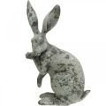 Floristik24 Conejo decorativo sentado aspecto piedra decoración de jardín Al. 31 cm