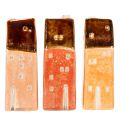  | Floristik24.es