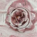 Floristik24 Asa olla rosa lavada con rosa Ø22cm H13,5cm