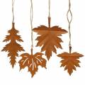 Floristik24 Pátina de hojas de otoño para colgar 13cm 4pcs