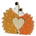 Floristik24 Decoración de otoño pareja de erizos con corazón 15cm - 18cm