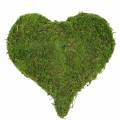 Floristik24 Musgo corazón verde 20cm 3pcs