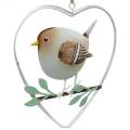 Floristik24 Colgante de corazón con gorriones, decoración de primavera, corazón de metal, Día de San Valentín, corazón de pájaro 4pcs