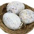 Floristik24 Surtido de huevos de oca, gallina y codorniz 3,5cm – 8cm 12uds