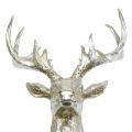 Floristik24 Cabeza de ciervo para decoración de pared oro, plata 36cm x 48cm