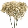 Floristik24 Rama de flor decorativa blanca crema de saúco artificial 52cm 4pcs