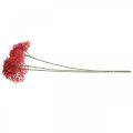 Floristik24 Elder flores artificiales rojas para ramo de otoño 52cm 6pcs