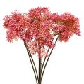 Floristik24 Rama de flor de saúco rosa 54.5cm 4pcs