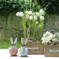 Floristik24 Conejo de madera en un huevo, decoración de primavera, conejos con gafas, conejitos de Pascua 3 piezas