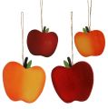 Floristik24 Manzanas de madera para colgar rojo-amarillo 9cm - 13cm 12pcs