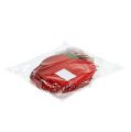Floristik24 Manzana de cangrejo para colgar 12,5cm rojo 12pcs